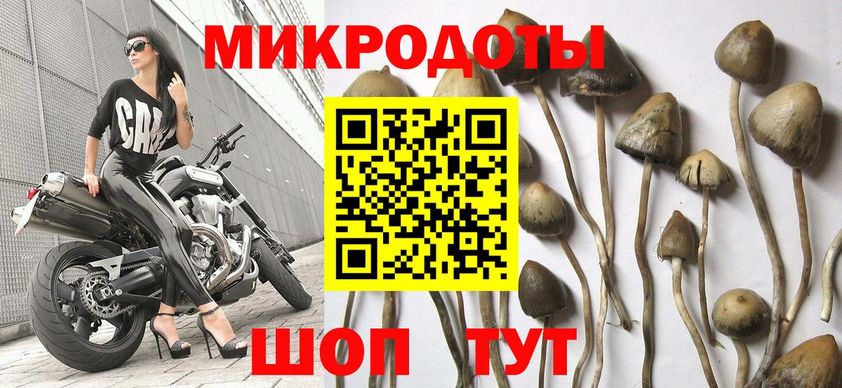 Ярославль  Псилоцибиновые грибы Cubensis  Вход с VPN  Псилоцибиновые грибы GOLDEN TEACHER 
